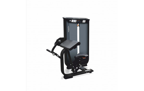 Бицепс-машина UltraGym UG-CL506 600_380