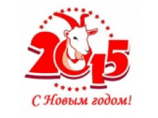  Компания «Дом Спорта» поздравляет Вас с наступающим Новым 2015-м Годом!