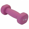 Гантель неопреновая Sport Elite ES-0390 1кг 120_120